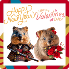 Quokka Wallaby New Year - Valentine7