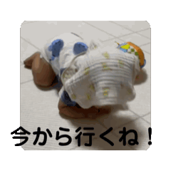 Tanuki_20241212005502