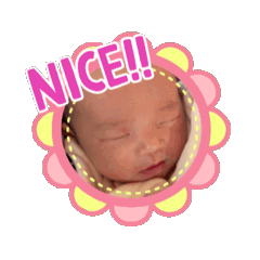 kana_sumire20241211235348