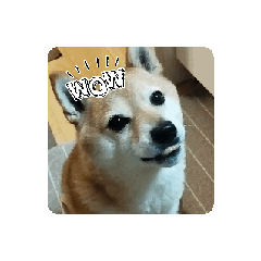 kero_20241212091231