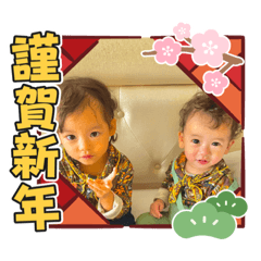 momoko_20241211151213