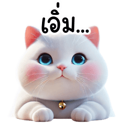 Cute chubby Khao Manee cat v.2