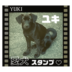 keisuke_20241211150005