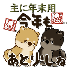 Shiba-inu 2024 (For year-end)