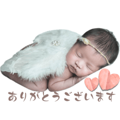 chihiro_20241211190745