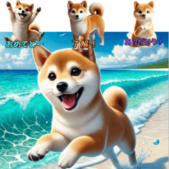 Pochi the Shiba Inu: Daily Joys