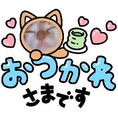 coco_20241211201424