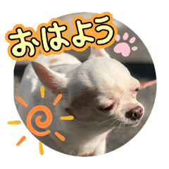 NONO_20241211202453