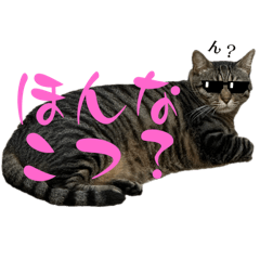 IKUZOU_20241211181235