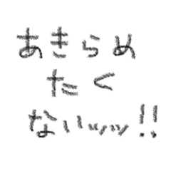 Ponzu_20241211205916