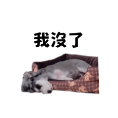 Q欸比