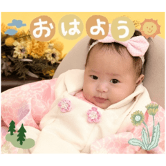chiko_20241211181220
