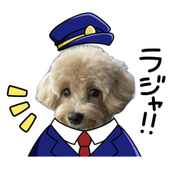 kinako_20241211232853