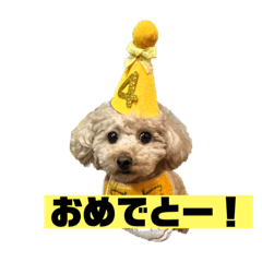 Shin_20241211214054