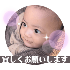 mimi_20241211221050