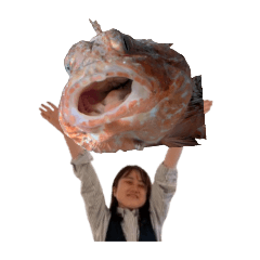 shin_20241211195641