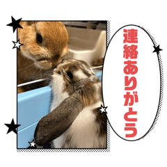 miyuki_20241212000207