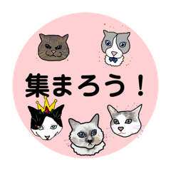 sak_20241211230150