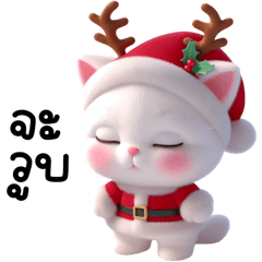 White cat Santa