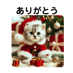 Baby Cat Christmas