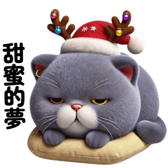 Little Cat Scottish Fold Santa (TWN)