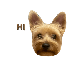 Phetyarin