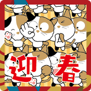 a naughty cat-07. New Year 2025