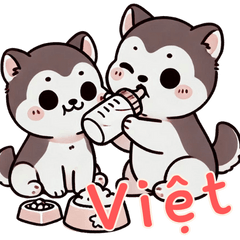 Baby Hhusky Life (Vietnam) Ver3