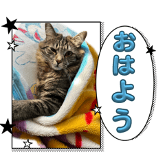 Haruru_20241212215849