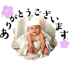 coco_20241212094726
