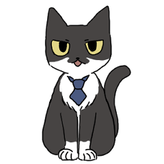 Business black and white cat