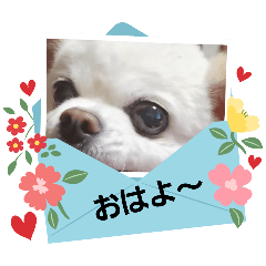 kayo_20241212195030