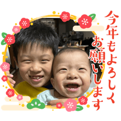 aoyuumama_20241212232812