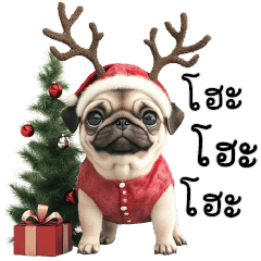 Cute Pug dog Christmas & New Year