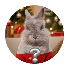 cheese143_20241212213043