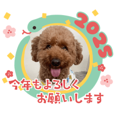 Hellopuutan