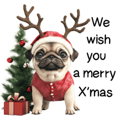 Cute Pug dog Christmas & New Year EN