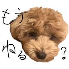 choco_20241213093919