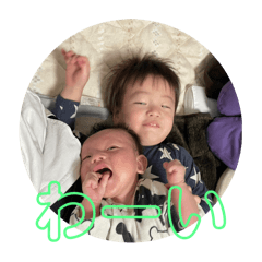pipi_20241212183319