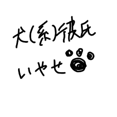 hachi_20241213114736