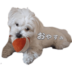 Kim_20241213113850