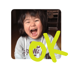 hikari_20241213062016