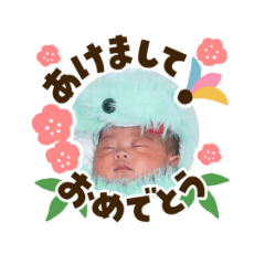 HIKARI_20241213134702