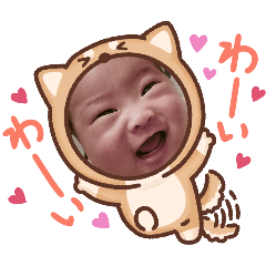 HIKARI_20241213140028