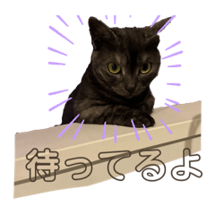 yuki_20241213061740