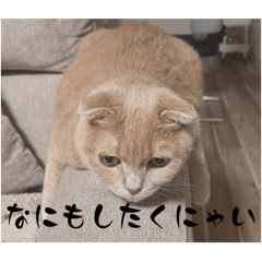 Rena_20241212194948