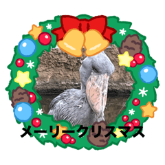 Hisano_20241213154021