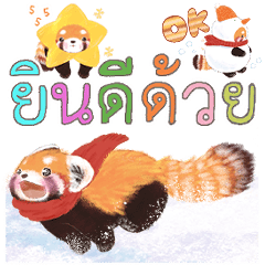แพนด้าแดง Pohe/ฤดูหนาว/Christmas/NewYear