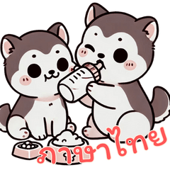 Baby Hhusky Life (Thai) Ver3