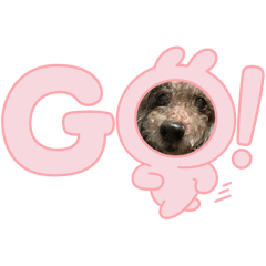 Coco_20241213182717